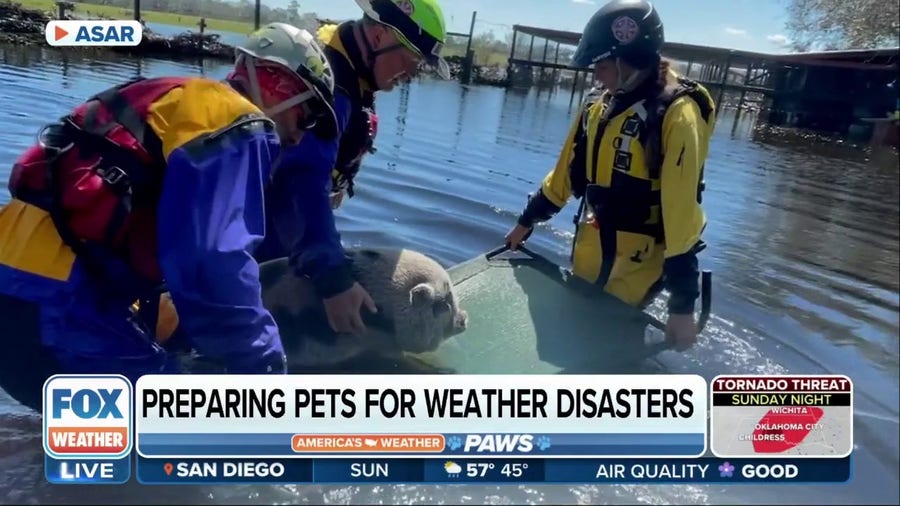 Preparing pets for weather disasters