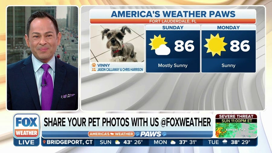America's Weather Paws | February 26