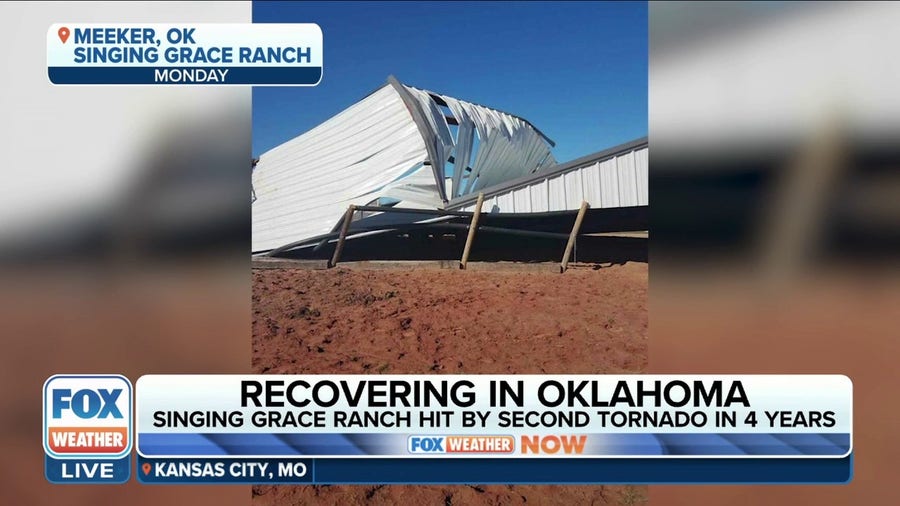 Oklahoma animal rescue service hit by second tornado in 4 years
