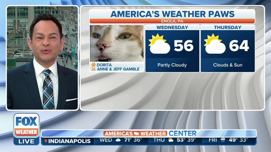 America's Weather Paws | March 1
