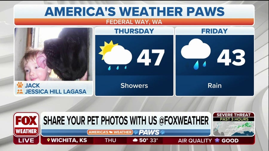 America's Weather Paws | March 2