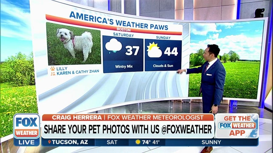 America's Weather Paws | March 4