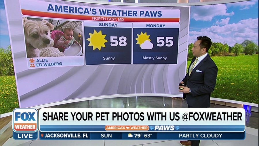 America's Weather Paws | March 5