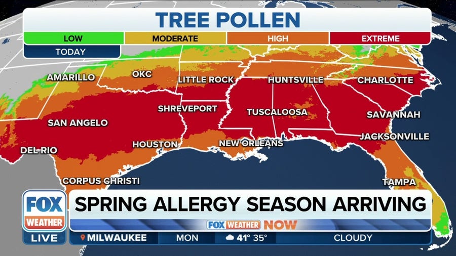 Spring allergy season begins in South