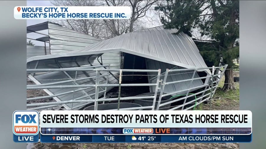'We had extensive damage': Texas horse rescue farm hit by storms