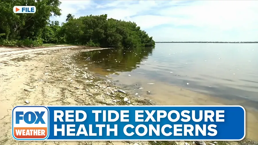 Red tide in Florida causing respiratory concerns