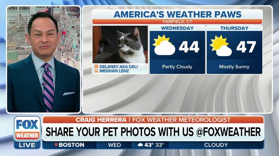 America's Weather Paws | March 8