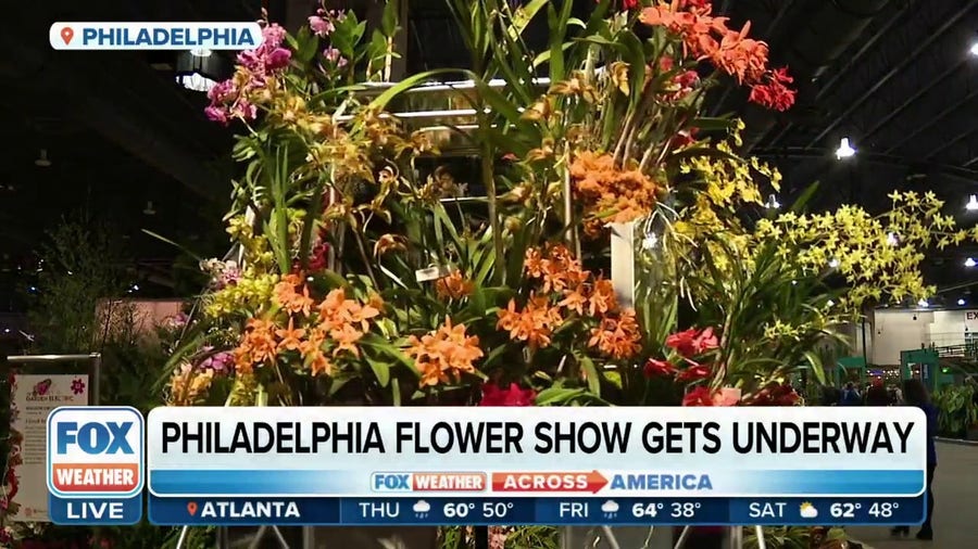 Flower lovers flock to Philadelphia for convention center show