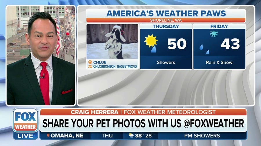 America's Weather Paws | March 9