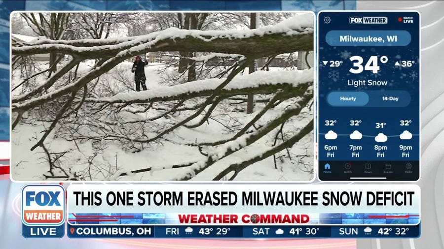 Heavy snow causes trees to topple in Milwaukee