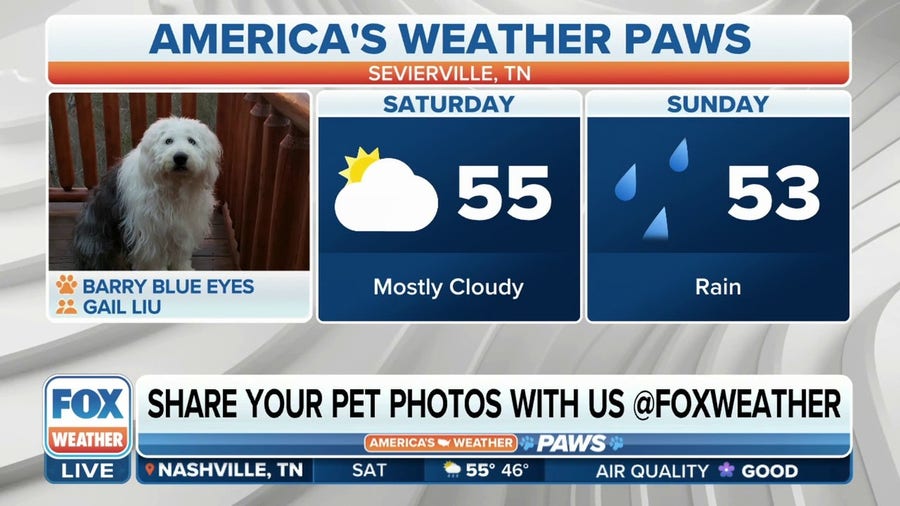 America's Weather Paws | March 11