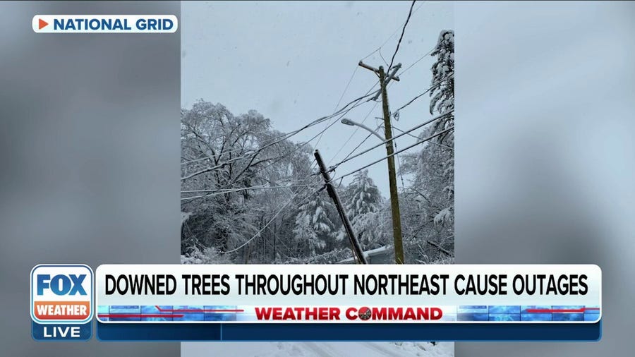 Downed trees, power lines from heavy, wet snow causing power outages in aftermath of nor'easter