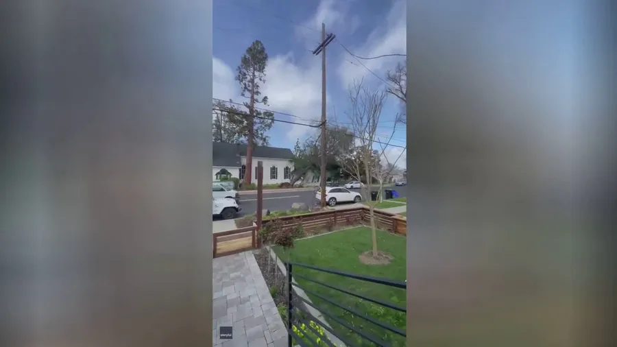 Tree crushes California church during atmospheric river storm