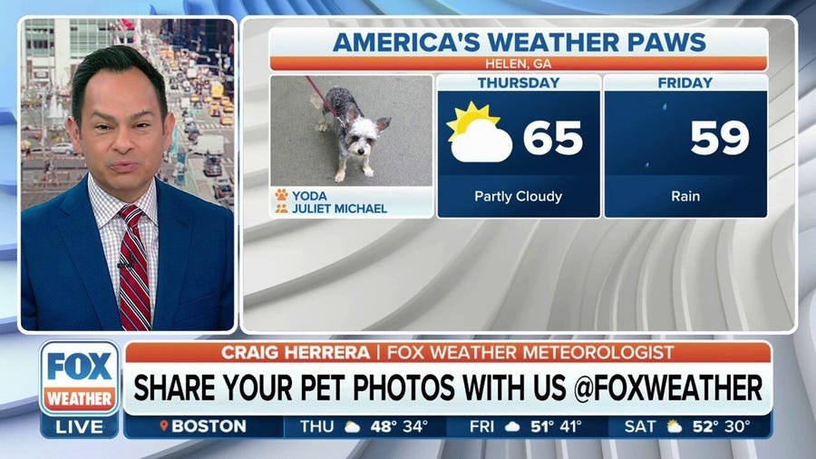 America's Weather Paws | March 16