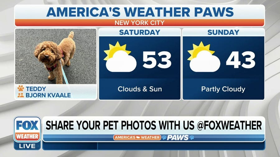 America's Weather Paws | March 18