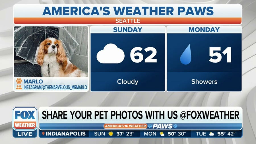 America's Weather Paws | March 19