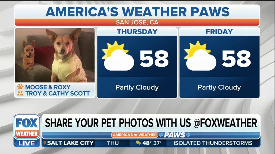 America's Weather Paws | March 23