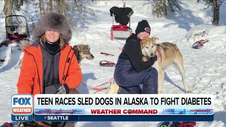 Florida teen races sled dogs in Alaska to help fight diabetes