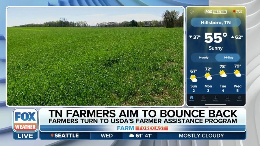 Tennessee farmer hopeful wet winter improves upcoming harvest following disastrous 2022