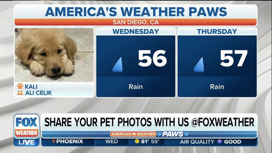 America's Weather Paws | March 29