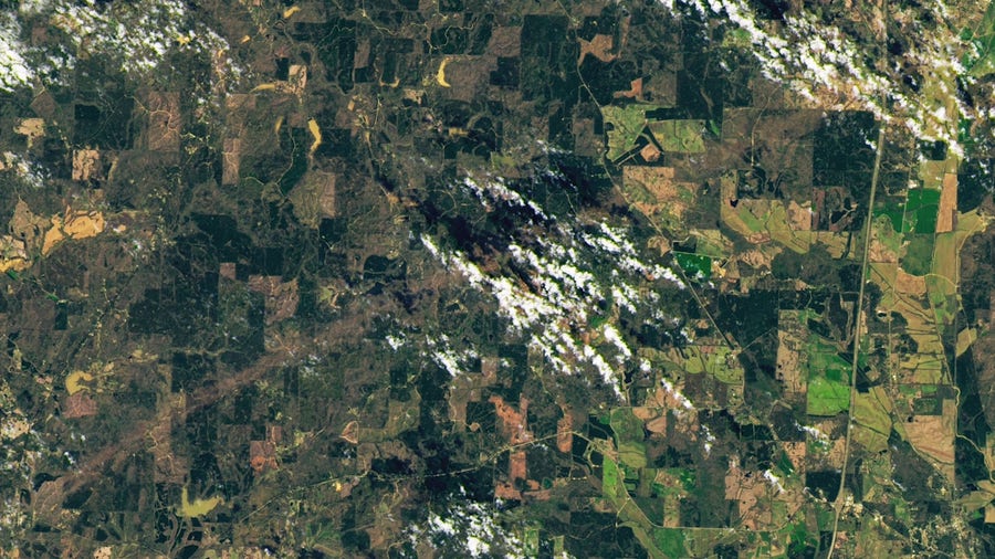 Mississippi tornado's 29-mile path of destruction can be seen from space