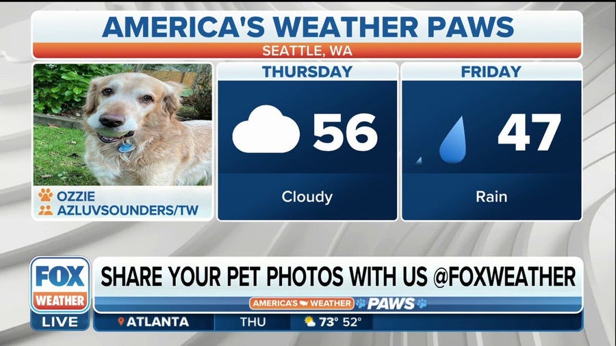America's Weather Paws | March 30