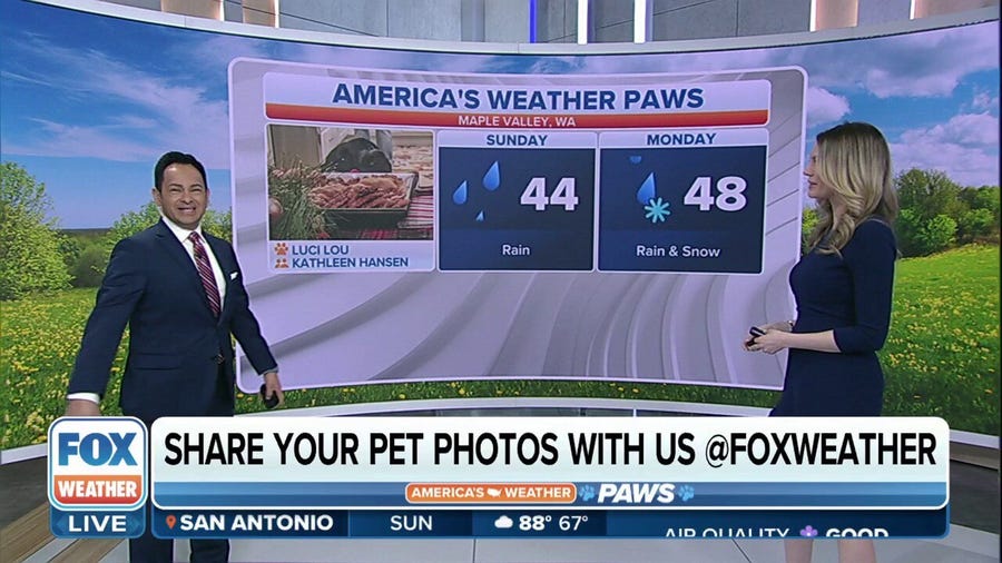 America's Weather Paws | April 2