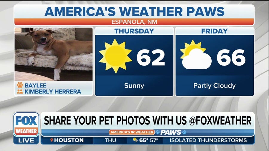 America's Weather Paws | April 6