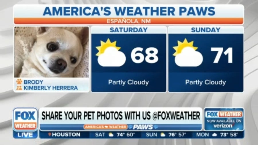 America's Weather Paws | April 8