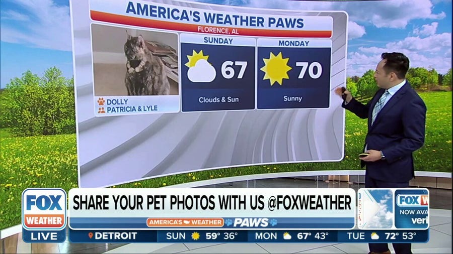 America's Weather Paws | April 9