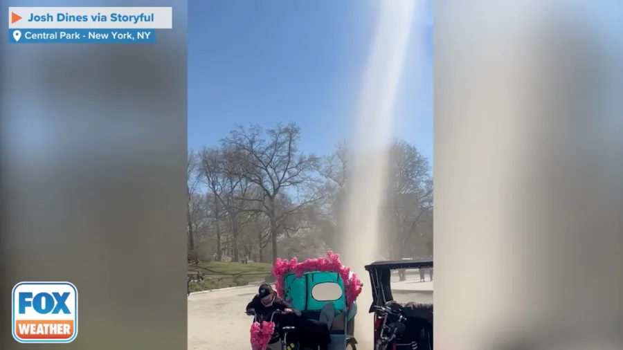 Dust devil spotted in New York's Central Park