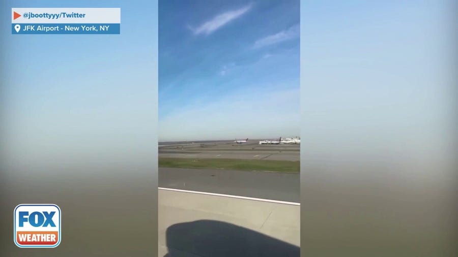 Bird reportedly struck by plane engine at JFK Airport