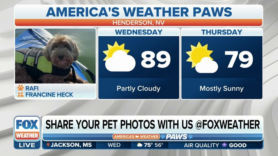 America's Weather Paws | April 12