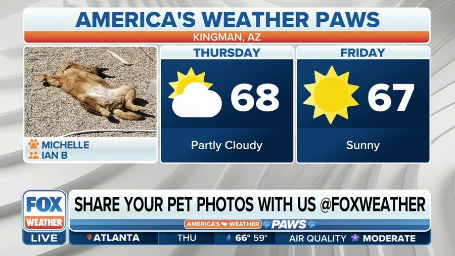 America's Weather Paws | April 13