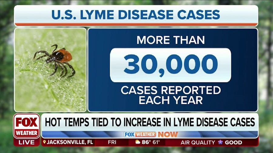Lyme disease cases on the rise in US