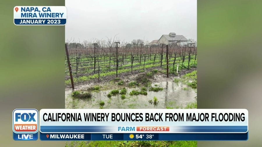 California winery bounces back after historically wet January