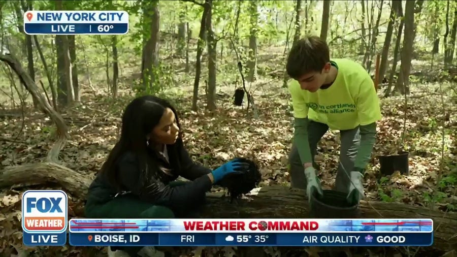 Planting trees in the Bronx for the betterment of the planet
