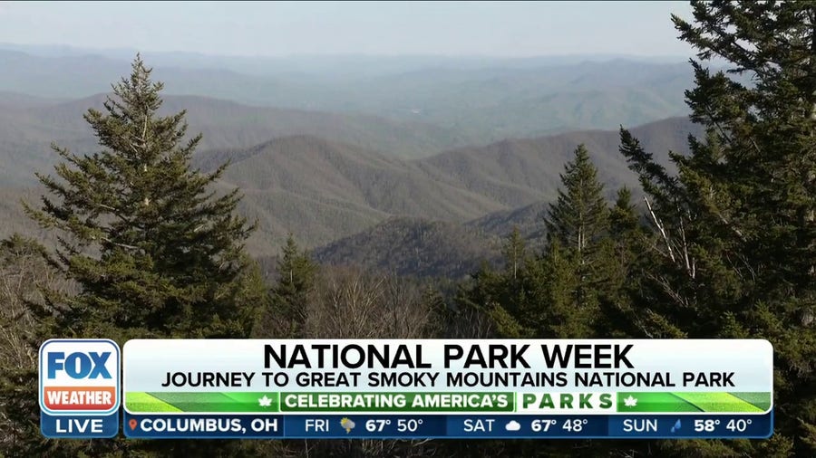 Great Smoky Mountains National Park: Get lost in the beauty of America's most visited national park