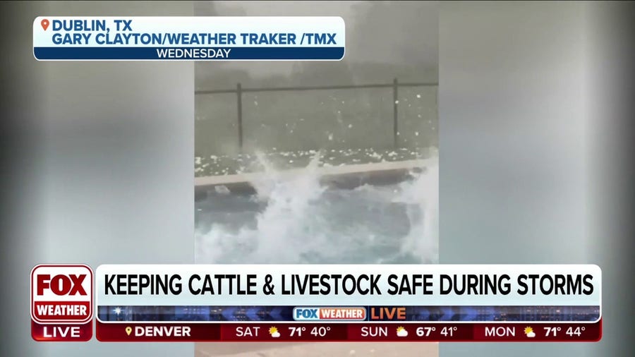 Keeping livestock safe during severe weather