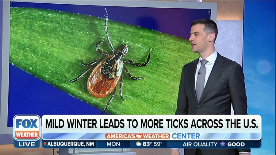 Disease carrying ticks on the rise across the US