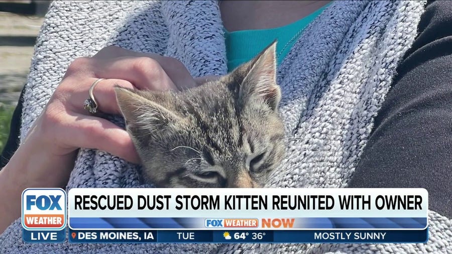 Rescued kitten reunited with owner after dust storm