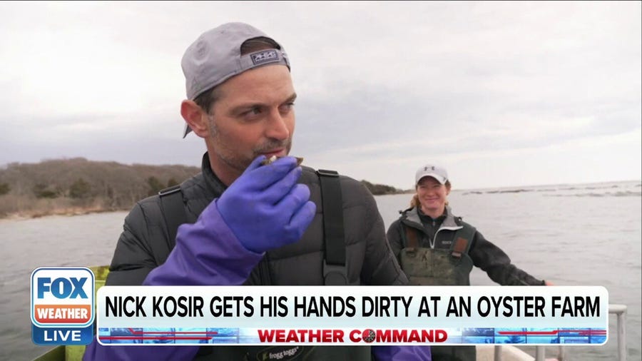 Nick Kosir gets first-hand experience working at an oyster farm