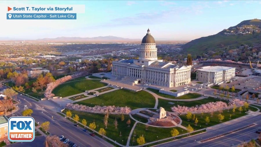 Cherry blossoms in bloom at Utah state capitol after record-breaking snow