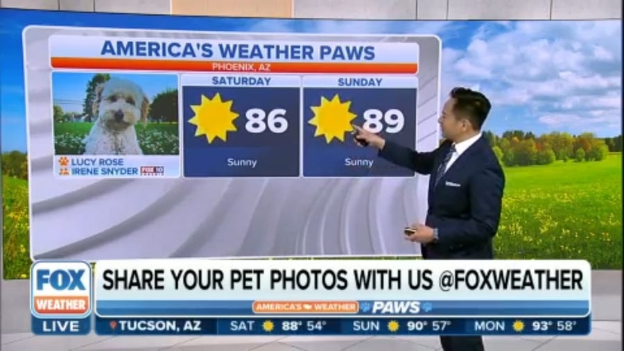 America's Weather Paws | May 6