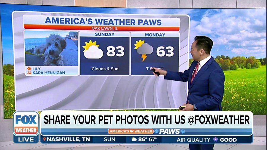 America's Weather Paws | May 7