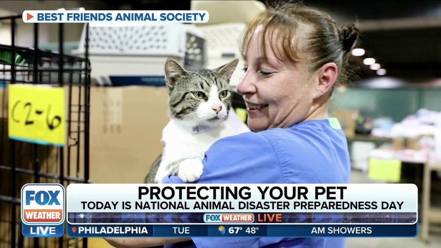 Keeping your pets safe during bad weather