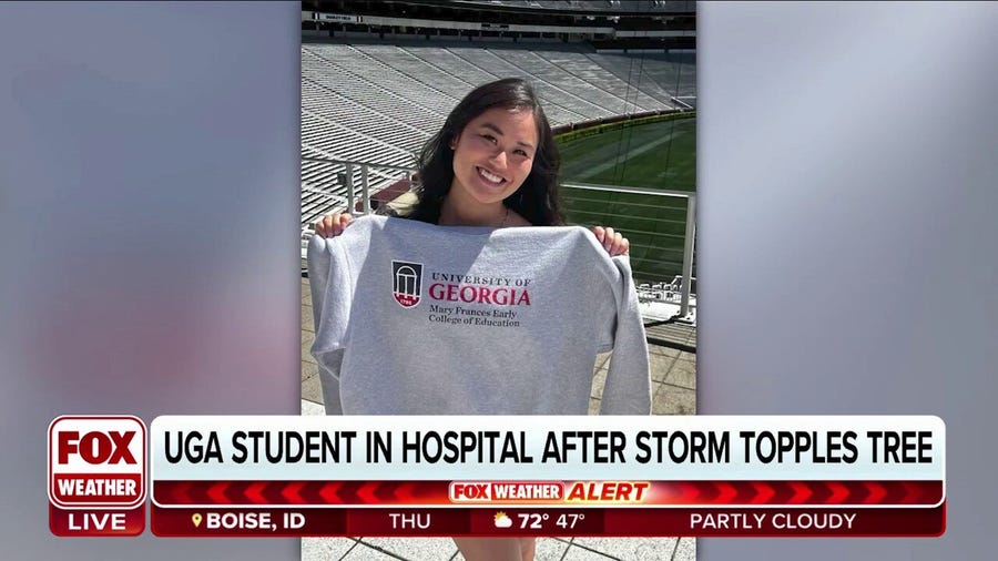 Georgia student alive after being hit by massive tree during storm