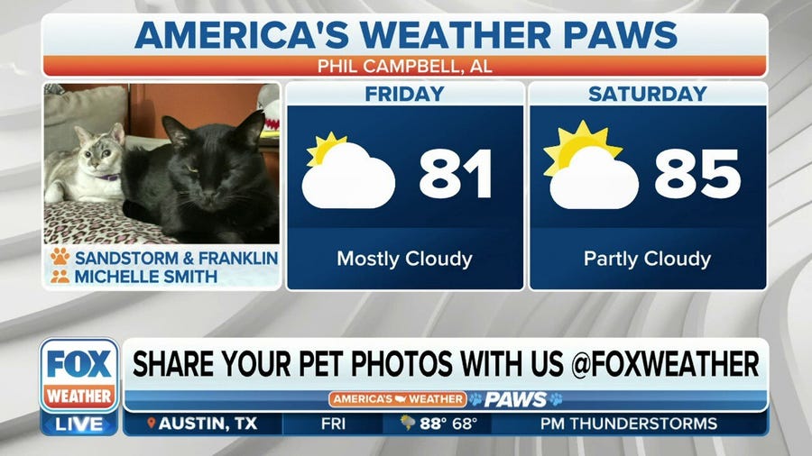 America's Weather Paws | May 12