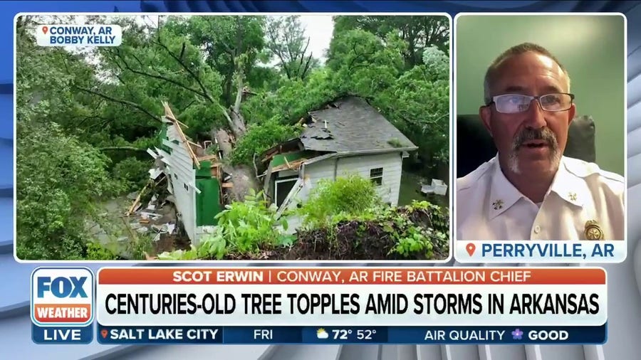 Enormous 600-year-old tree crushes home in Arkansas, woman rescued