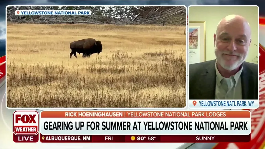 Yellowstone National Park opens additional roads for summer visitors